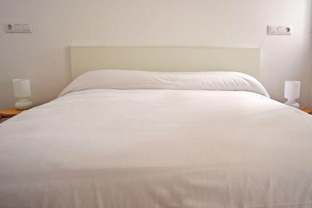 ולנסיה Botanic Apartaments מראה חיצוני תמונה