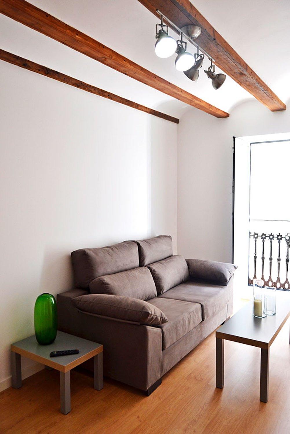ולנסיה Botanic Apartaments מראה חיצוני תמונה